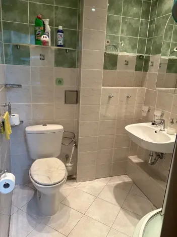 Prodej bytu 2+kk, Praha - Žižkov, Hartigova, 55 m2