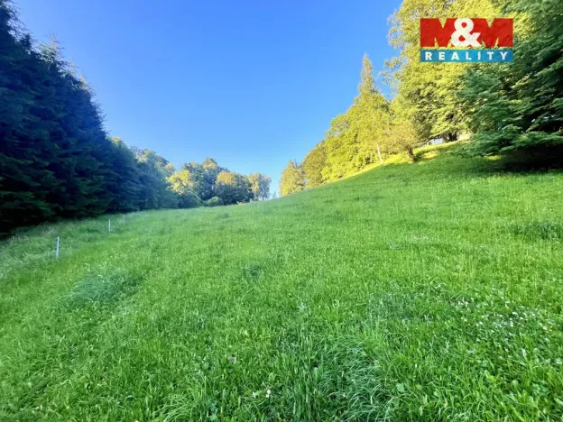 Prodej louky, Teplice nad Metují - Horní Teplice, 5449 m2