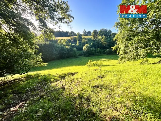 Prodej louky, Teplice nad Metují - Horní Teplice, 5449 m2