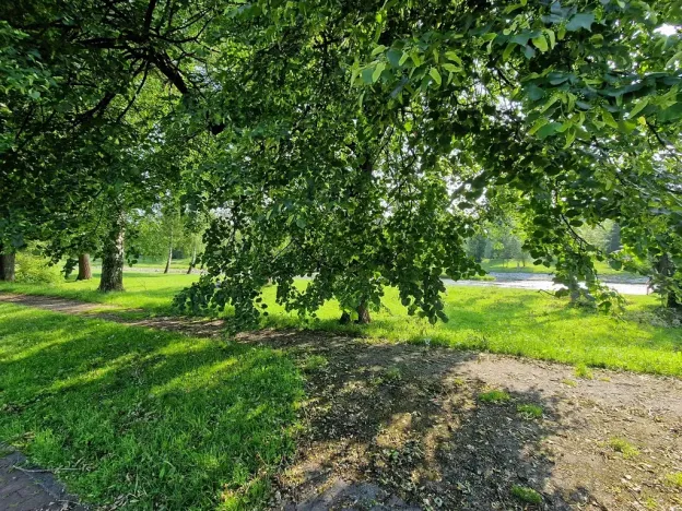 Prodej rodinného domu, Frýdek-Místek, Přemyslovců, 160 m2