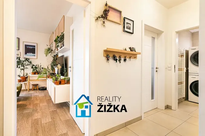 Prodej bytu 2+kk, Brno, Bělohorská, 60 m2