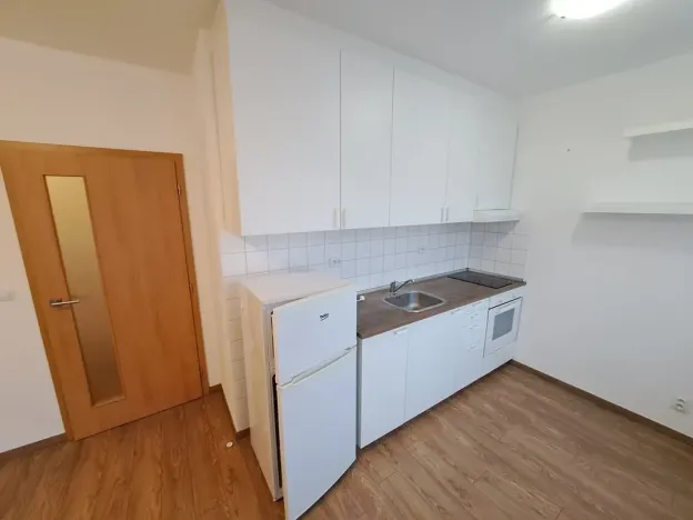 Pronájem bytu 1+kk, Brno, Nad Přehradou, 24 m2