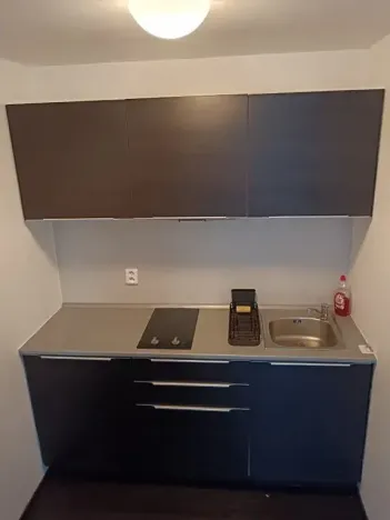 Pronájem bytu 1+kk, Brno, Hlinky, 44 m2
