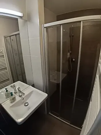 Pronájem bytu 1+kk, Brno, Hlinky, 44 m2