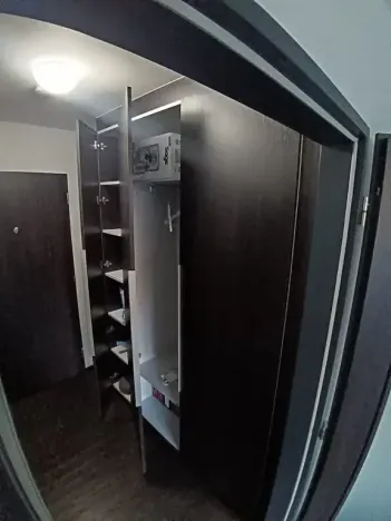 Pronájem bytu 1+kk, Brno, Hlinky, 44 m2