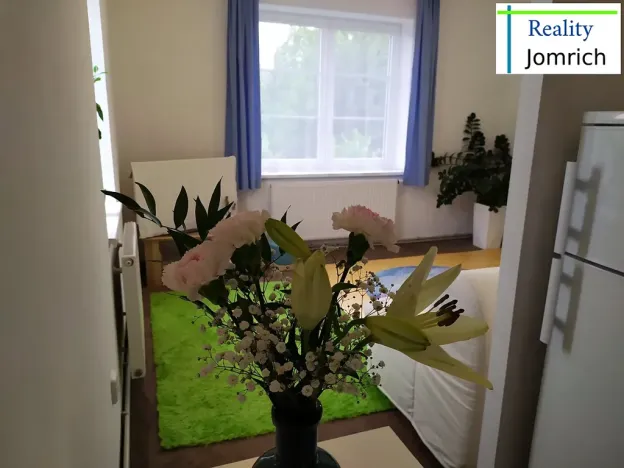 Pronájem bytu 1+kk, Liberec, Česká, 30 m2