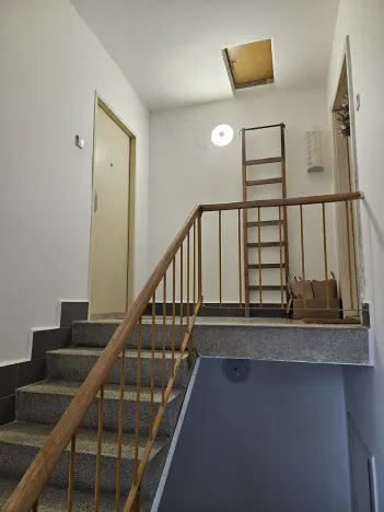 Dražba bytu 2+1, Brno, Purkyňova, 48 m2