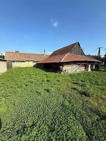 Prodej vícegeneračního domu, Opočnice, 604 m2