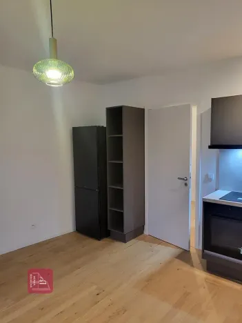 Pronájem bytu 1+kk, Brno, Bratislavská, 32 m2