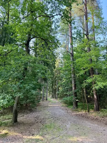 Prodej rodinného domu, Babice, Sportovní, 160 m2
