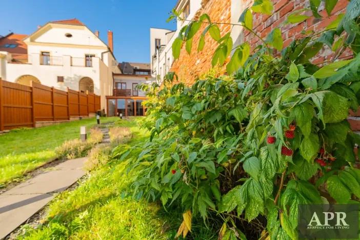 Prodej rodinného domu, Uherský Brod, Masarykovo nám., 131 m2