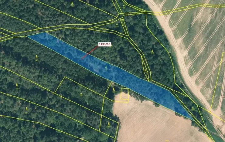 Dražba lesa, Jesenice, 4694 m2