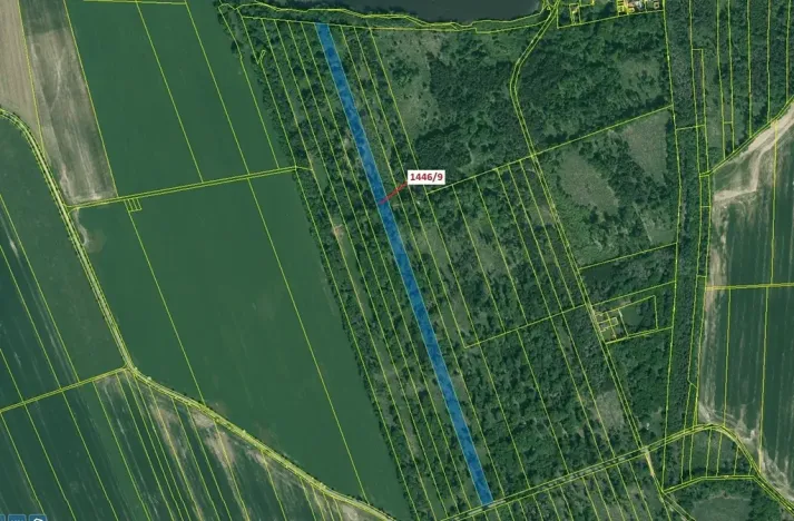 Dražba lesa, Břehov, 19879 m2