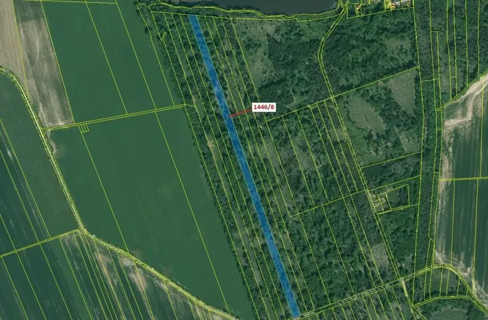 Dražba lesa, Břehov, 20146 m2