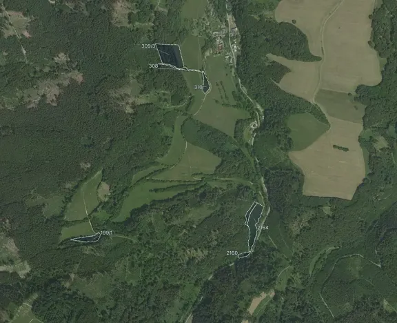 Prodej louky, Městečko Trnávka, 26370 m2