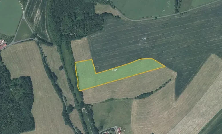 Prodej louky, Jindřichov, 28723 m2