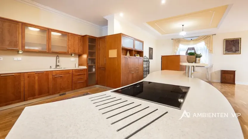 Prodej vily, Brno, 754 m2