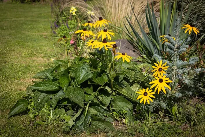Prodej zemědělské usedlosti, Bžany, 240 m2