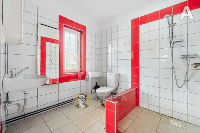 Prodej komerční nemovitosti, Velká Chmelištná, 550 m2