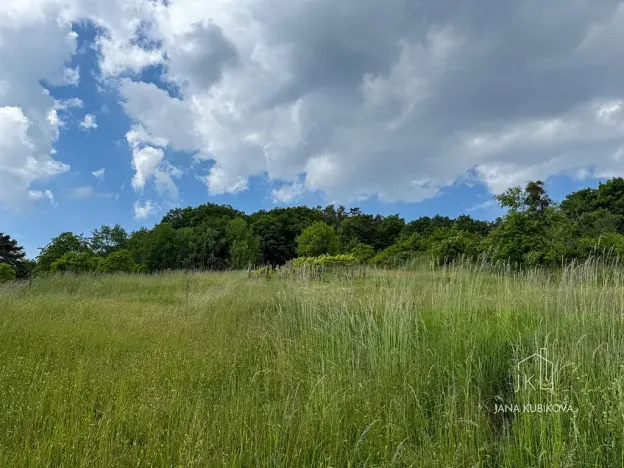 Prodej pozemku pro bydlení, Vřesovice, 2455 m2