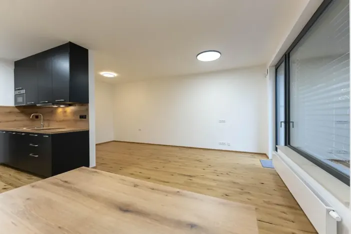 Pronájem bytu 1+kk, Praha - Nusle, Muzikova, 50 m2