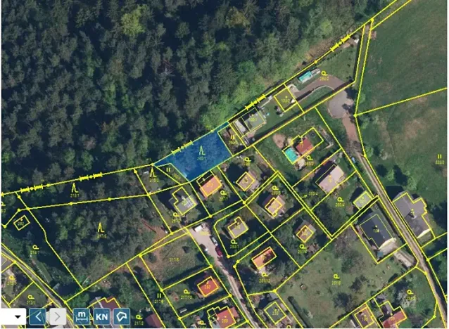 Prodej lesa, Česká Čermná, 419 m2