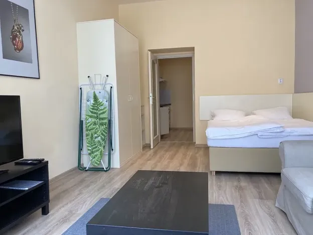 Pronájem bytu 1+1, Praha - Vinohrady, Máchova, 40 m2