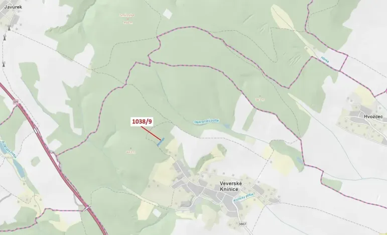 Dražba lesa, Veverské Knínice, 2213 m2