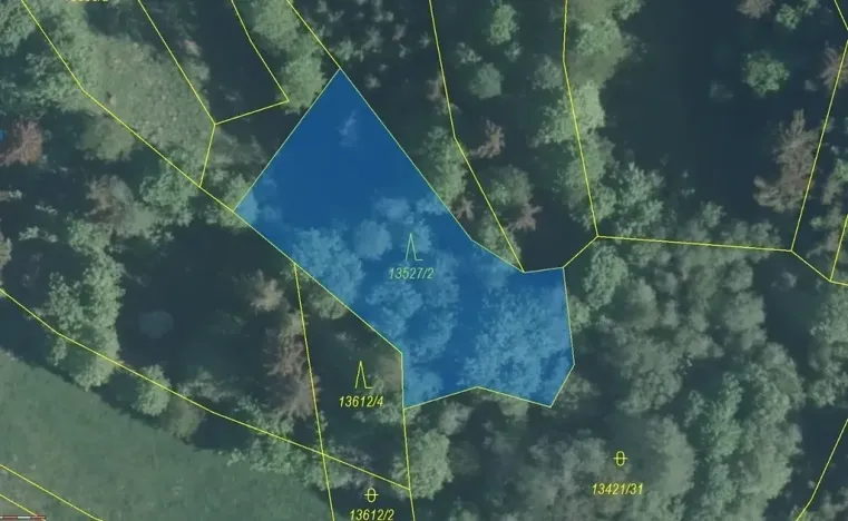 Dražba lesa, Hovězí, 1230 m2