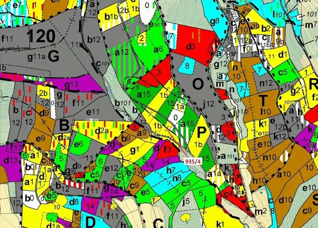 Dražba lesa, Jílové u Držkova, 3532 m2