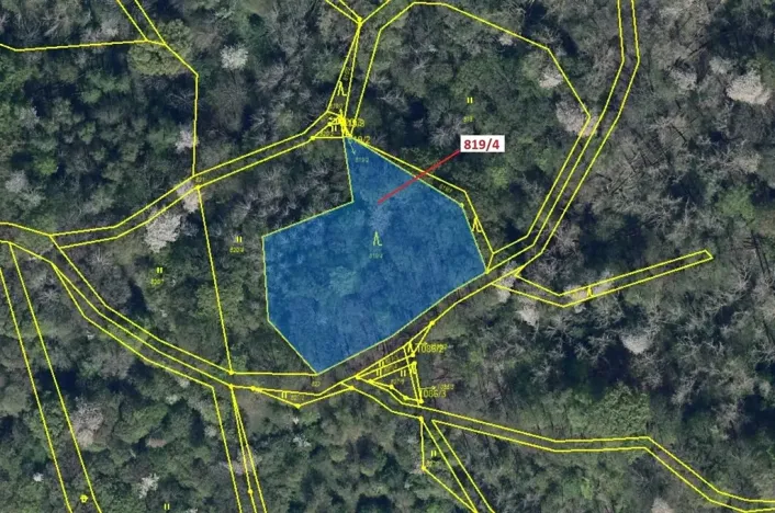 Dražba lesa, Zubrnice, 2875 m2