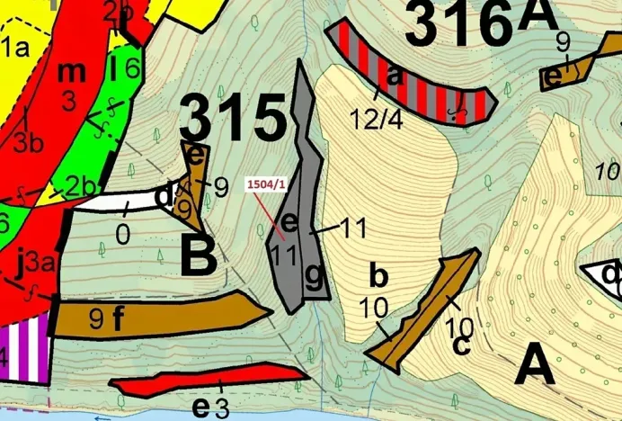 Dražba lesa, Hovězí, 2626 m2