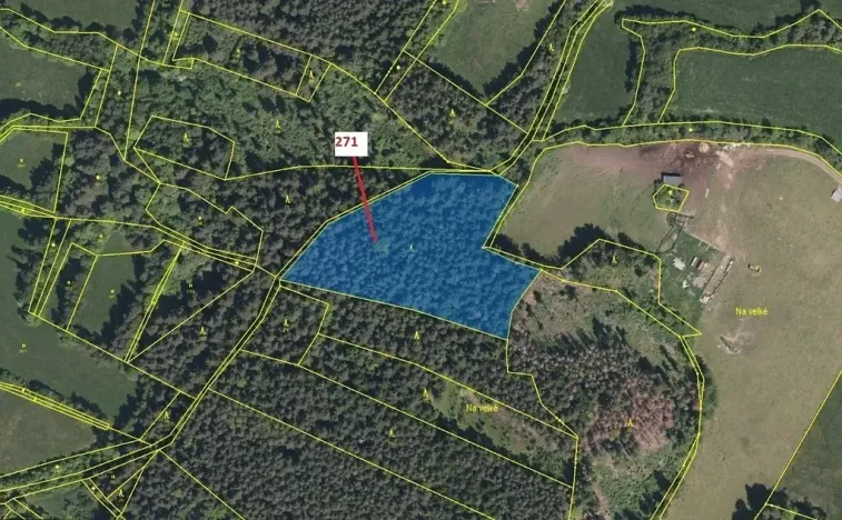 Dražba lesa, Zálezly, 8937 m2