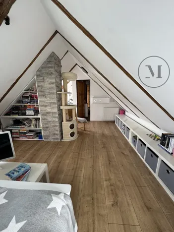 Prodej rodinného domu, Nová Ves, 480 m2