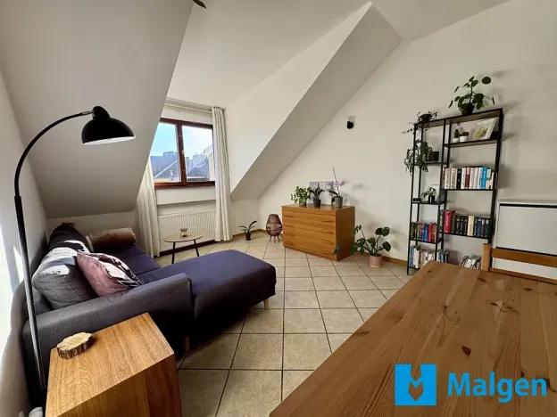 Pronájem bytu 2+kk, Praha - Bubeneč, U akademie, 45 m2