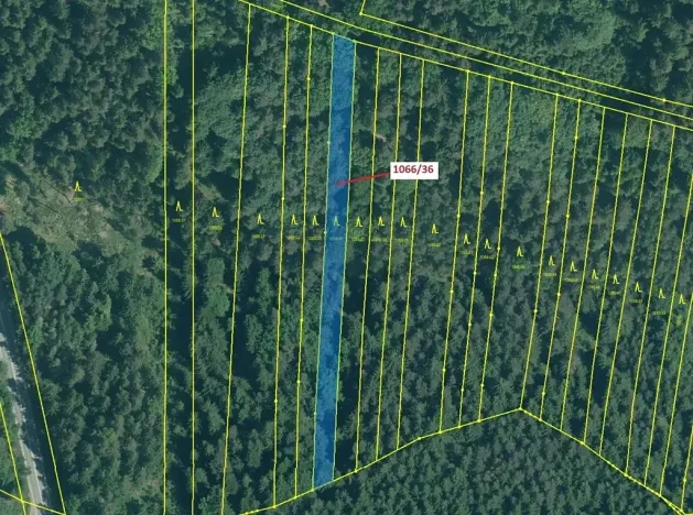 Dražba lesa, Stehlovice, 1983 m2