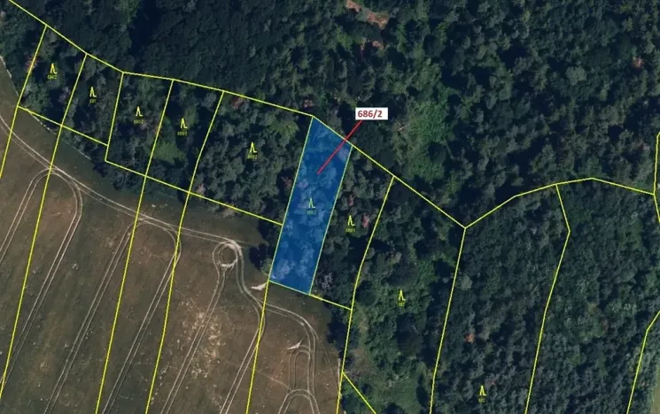 Dražba lesa, Přemyslovice, 1381 m2