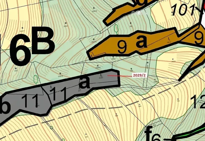 Dražba lesa, Hovězí, 788 m2