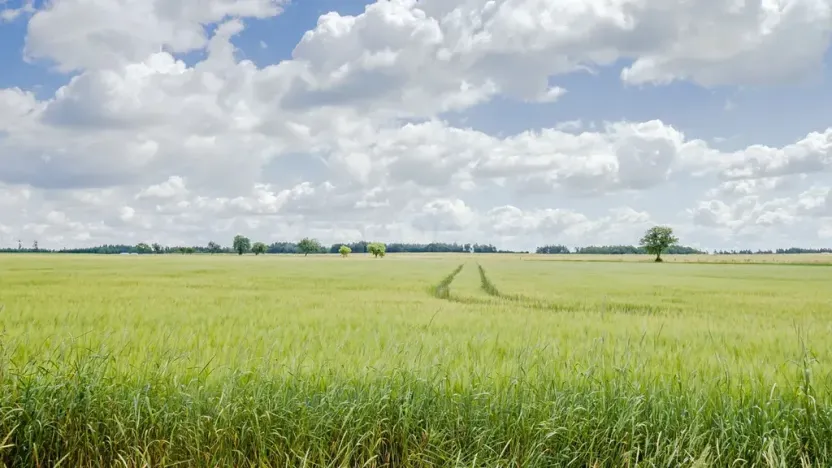 Prodej pozemku pro bydlení, Olbramov, 2128 m2