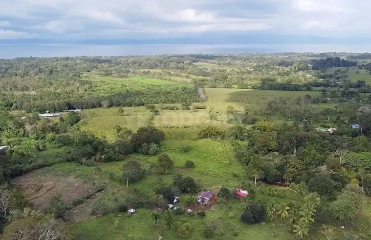 Prodej pozemku pro bydlení, Puerto Jiménez, Kostarika, Calle Los Pollos, 8924 m2