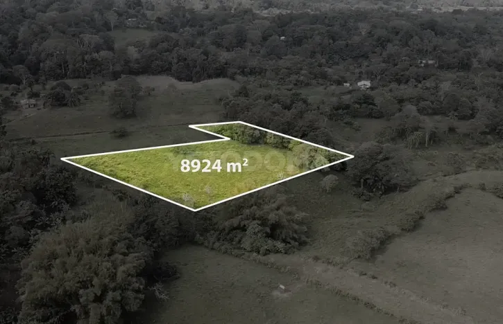 Prodej pozemku pro bydlení, Puerto Jiménez, Kostarika, Calle Los Pollos, 8924 m2