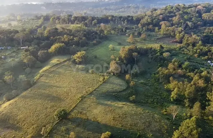 Prodej pozemku pro bydlení, Puerto Jiménez, Kostarika, Calle Los Pollos, 8924 m2