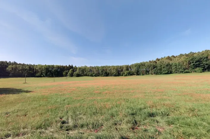 Prodej louky, Bílá, 2608 m2