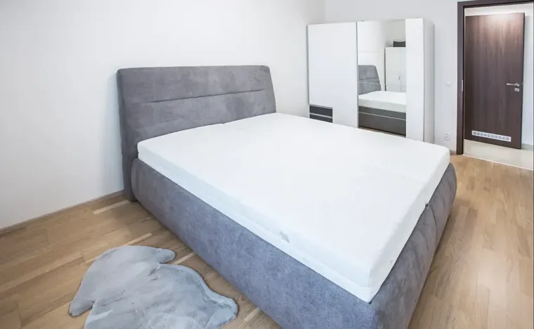 Pronájem bytu 2+kk, Praha - Karlín, Nekvasilova, 56 m2