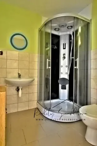 Prodej apartmánu, Hranice, 297 m2