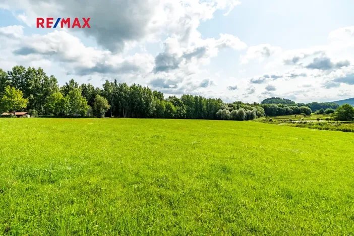 Prodej komerčního pozemku, Nová Pec, 9752 m2