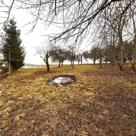 Prodej vícegeneračního domu, Libice nad Doubravou, 250 m2