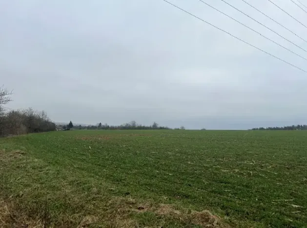 Prodej podílu pozemku pro bydlení, Neděliště, 722 m2