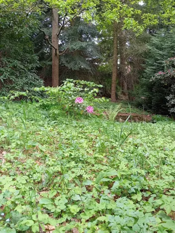 Prodej rodinného domu, Drslavice, 86 m2