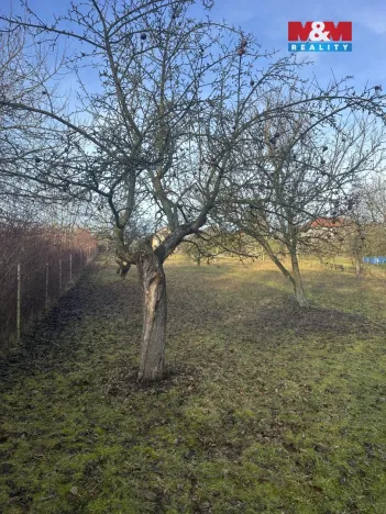 Prodej pozemku pro bydlení, Oskořínek, Ronovská, 1594 m2